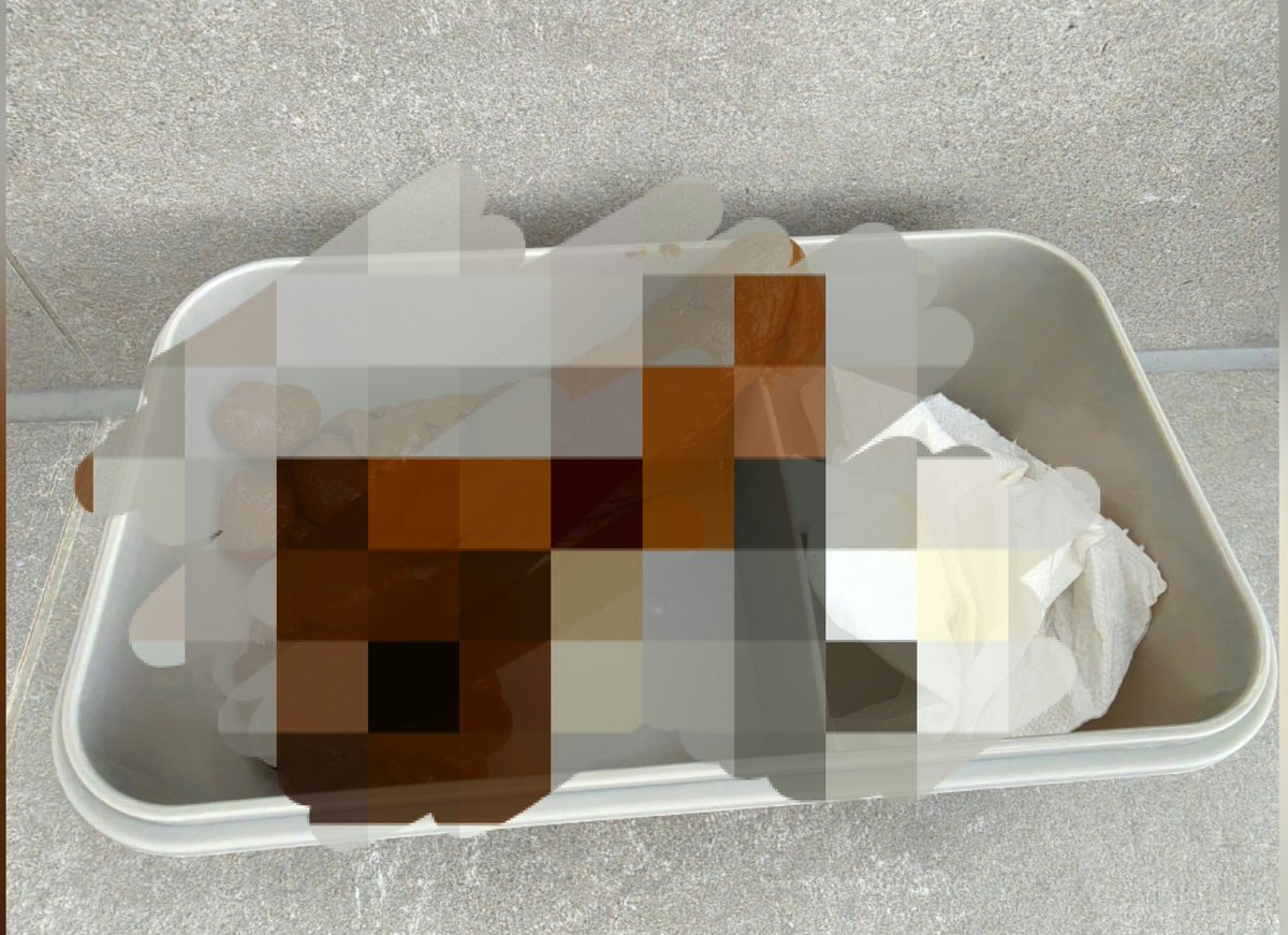EleonoraFindom's tweet photo. Bestelling is klaar💩

Nu het zo goed mogelijk verpakken dat de bezorger geen idee heeft wat er in het pakketje zit.

Wish me luck😳 https://t.co/AAeGUFmGgg