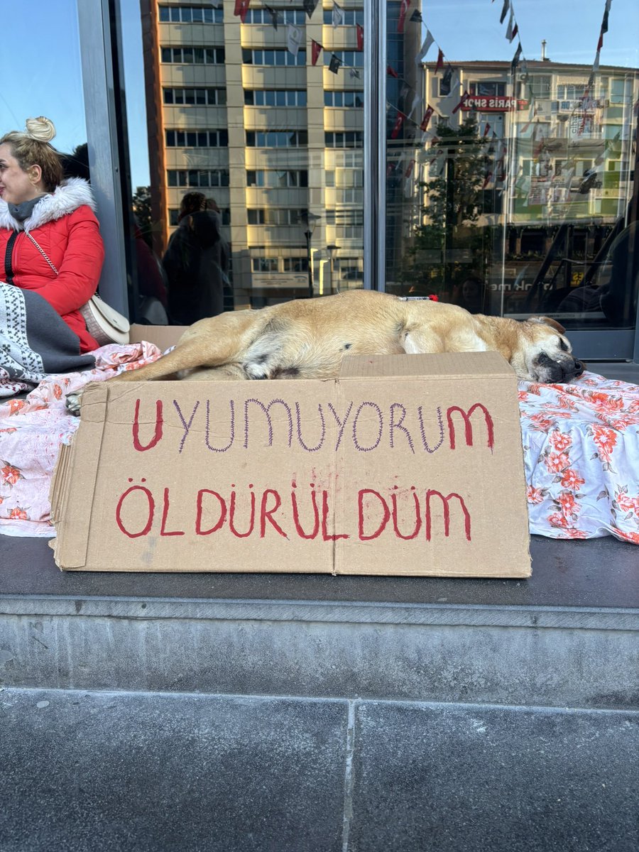 Samurai_noirr's tweet photo. @hcanguner “Süleyman’dan hakkın alır karınca”

Unutursak kalbimiz kurusun‼️ https://t.co/2wC7KWmkqP