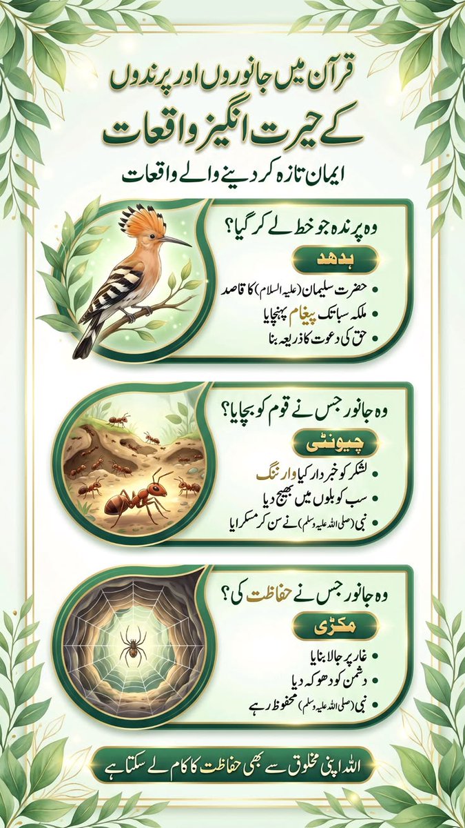 ImranM10100's tweet photo. قرآن مجید میں جانوروں اور پرندوں کے حیرت انگیز واقعات ۔
ایمان تازہ کر دینے والے واقعات ۔ https://t.co/8iibFY4Uma