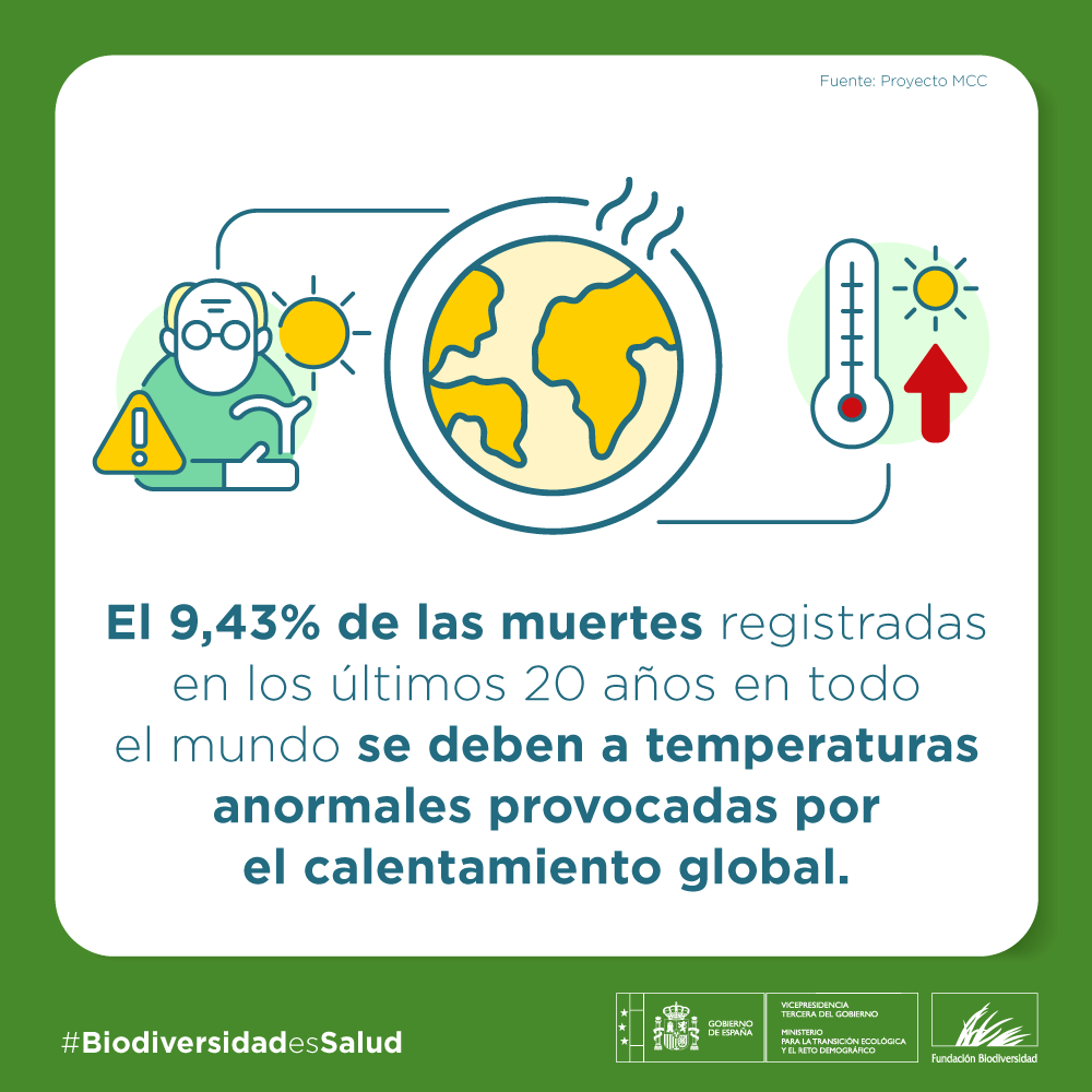 FBiodiversidad's tweet photo. 🌡️ El calor y el frío extremos tienen un importante impacto sobre la salud.

📊 Un estudio publicado en @TheLancetPlanet estima que más de 5️⃣ millones de muertes al año están relacionadas con temperaturas extremas.

#BiodiversidadEsSalud https://t.co/tluZRQS07O