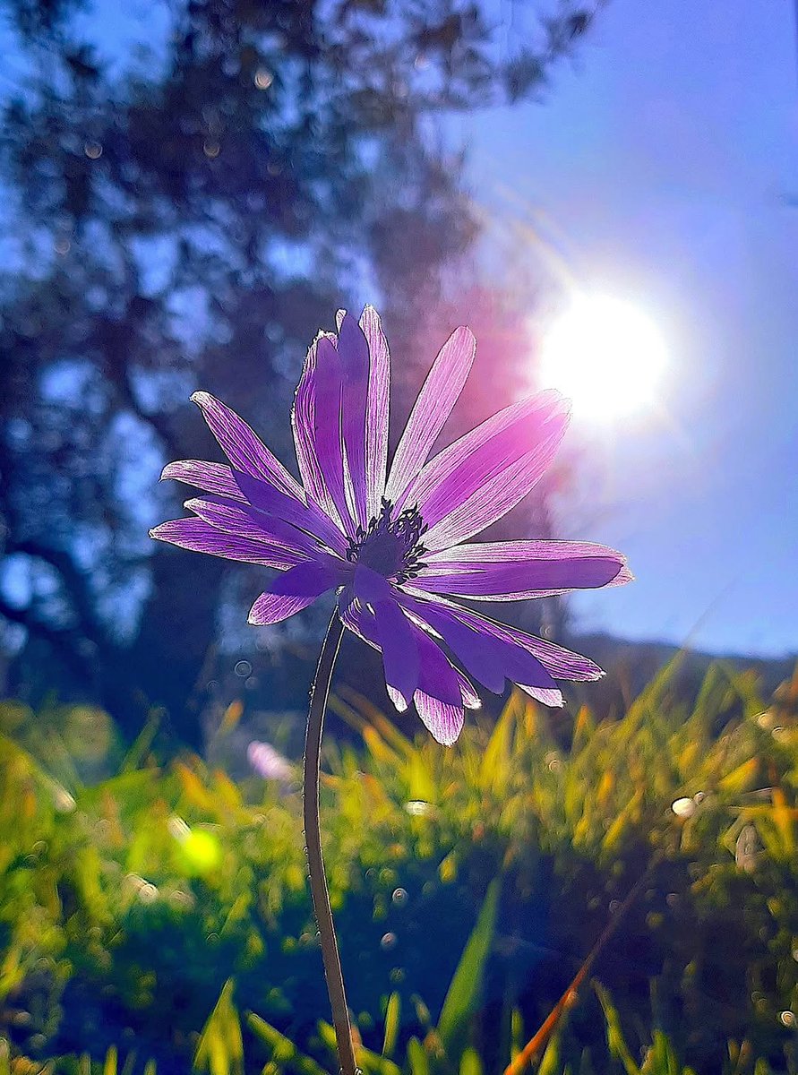 itsmeChloeeee_'s tweet photo. Blooming in the wild. Living for days like these😁😁 https://t.co/pDb8TSezQQ
