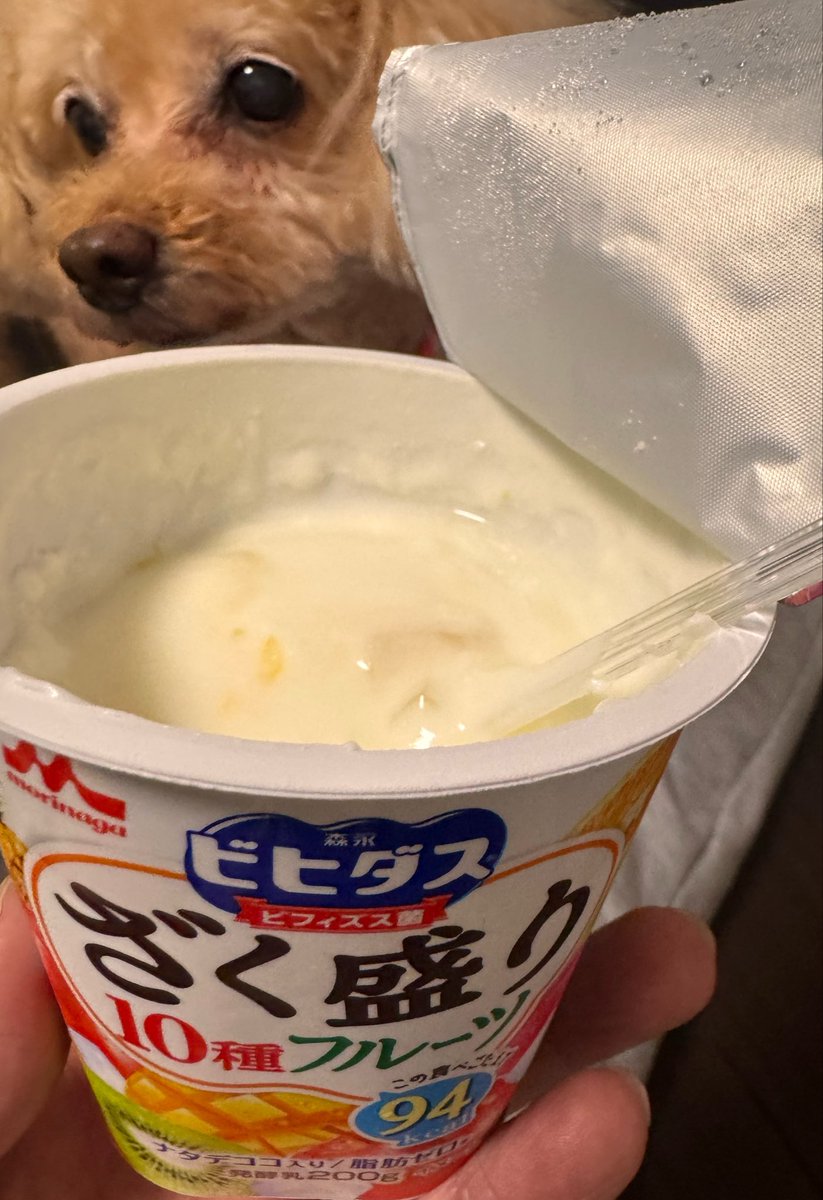 SHiROPPU1229624's tweet photo. よなよな😋ヤバい　今夜はなかなか眠れないパターンなので美味しいヨーグルトと #LiSA  💘✨ #LACEUP レコーディング映像を見ながらゆったりと🎵思いながら4枚目画像🎤ハンドマイクでステップ踏みながら録音🎵👀今日映画マイケル観てきて　ステップ踏んじゃうの一緒じゃん😄歌にノイズが入るからも映画と同じようなシーンで驚きな夜😊
@LiSA_OLiVE