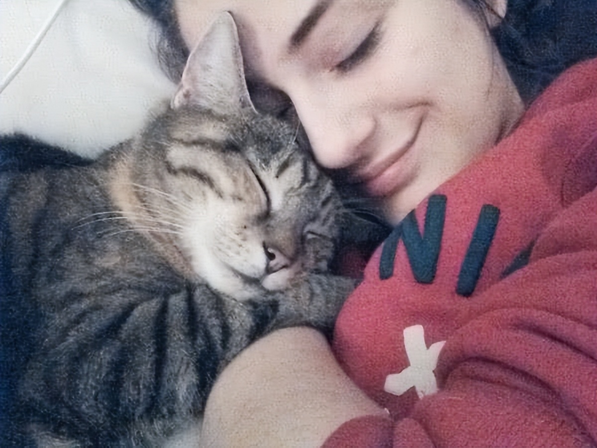 MichelleXAS83I's tweet photo. Nothing beats the quiet joy of curling up with your fur bestie after a long day  #PetLove #Companion https://t.co/cc49ySLTS0