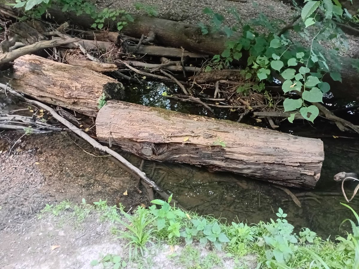 Has2weaver's tweet photo. Welcome to my blog!

https://t.co/AeoRcILx7b

Adam’s Fall is only part of the bigger picture and yes, we should look on our sin but not stay there.  Although spiritually we died in Jesus we are made alive. How? https://t.co/PF2KDh2dzw