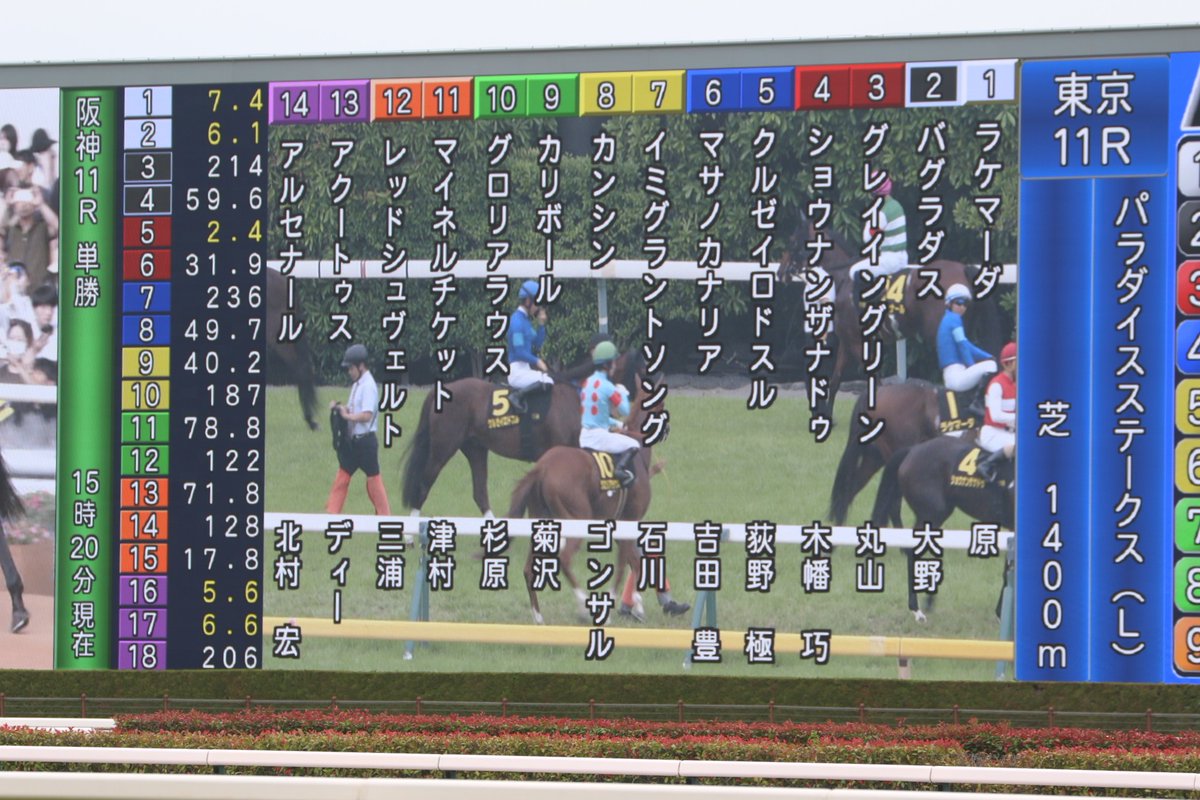 shiro216's tweet photo. 2026.6.14 TOKYO RACE COURSEにて♪

メイン11R ウッドバイン競馬場賞パラダイスステークス(3歳以上オープン 芝1400m)(Ｌ)を勝利した、マイネルチケット
(牡4 父ダノンバラード 宮徹きゅう舎)(津村明)
勝ちタイム 1:20.3
天候:曇 芝:良
(1番人気/13頭立て)
※枠内駐立不良で疾病により1頭競走除外 https://t.co/BrpKDX85aC