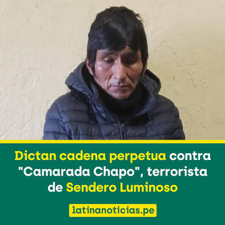 Pedro_vrae's tweet photo. Hace siete años, el 12 de julio 2019, un grupo de selecto de hombres y mujeres  de las unidades especializadas de la #DIVINESP - #DIRANDRO y la #DEA, bajo la Dirección jurídica del fiscal antidrogas Javier Vásquez Atoche, y con apoyo del #CIOEC del  #CCFFAA, lograron capturar vivo al mando terrorista Hugo Sixto Campos Córdova –conocido como camarada ‘Julio Chapo’.
La captura del camarada 'Julio Chapo' se produjo en la localidad de Chinchihuasi en la región Huancavelica, cuando el terrorista coordinaba para atacar una comisaría. Luego se supo que el terrorista era mando militar e integrante del renovado Comité Central del Militarizado Partido Comunista del Perú (MPCP), que es el brazo armado del PCP-SL.
Luego de la captura - inmerecidamente - se intentó dar desviar el logro de la captura a otro grupo conocido como una "policía política", en ese entonces.
Luego en mayo de este año, recién la Tercera Fiscalía Superior Nacional Especializada en Derechos Humanos y contra el Terrorismo, consiguió que se dicte una sentencia de cadena perpetua para Hugo Campos, alias ‘Julio Chapo’ o ‘Camarada Chapo’, por el delito de terrorismo en el #Vraem.

Máquina para matar.
Según hechos comprobados durante el juicio oral, el condenado 'Julio Chapo', integró un grupo de aniquilamiento del Militarizado Partido Comunista del Perú-Sendero Luminoso (MPCP-SL) y ejecutó diversos asesinatos selectivos; pero semanas antes de su captura asesinó a tres campesinos inocentes en la rovincia de #Huancayo:  Misael Camargo P., Susana Ponce y Teófanes Camargo P..
Los asesinatos ocurrieron en la comunidad campesina de Libertad de Mantaro, distrito de Santo Domingo de Acobamba, en la región de Junín. Sobre este caso, documentos, pericias y testimonios, que recogió la Policía, comprueba todos los actos de crueldad y terror que el grupo armado esparció entre la población local de Junín.

Sin reconocimiento.
Han pasado siete años; sin embargo todo el personal policial que participó en este operativo, hasta ahora no ha recibido ningún reconocimiento o recompensa alguna. Con mucho orgullo señalan que la única "satisfacción es haber cumplido con alta eficiencia la función de pacificar el país".