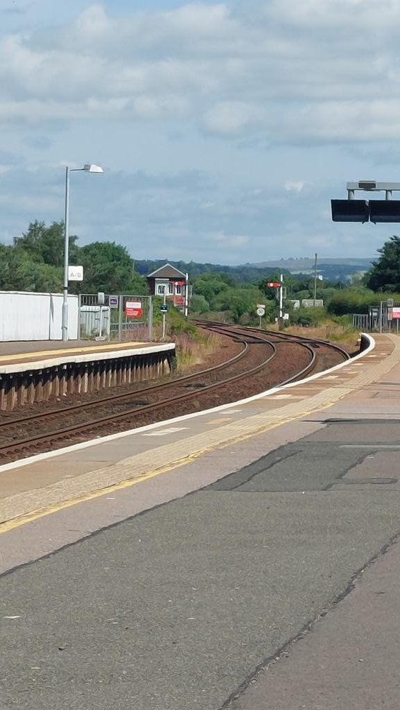SusanComerie's tweet photo. Some random pics taken from the station at #Montrose including a very tired looking Barnacle Bill seeking some tlc like the planters on the other side of the platform that attract the bees & give me something else to focus on when I'm getting a little bored 🤭
Friday 10.07.2026 https://t.co/cTYbT6R5n5