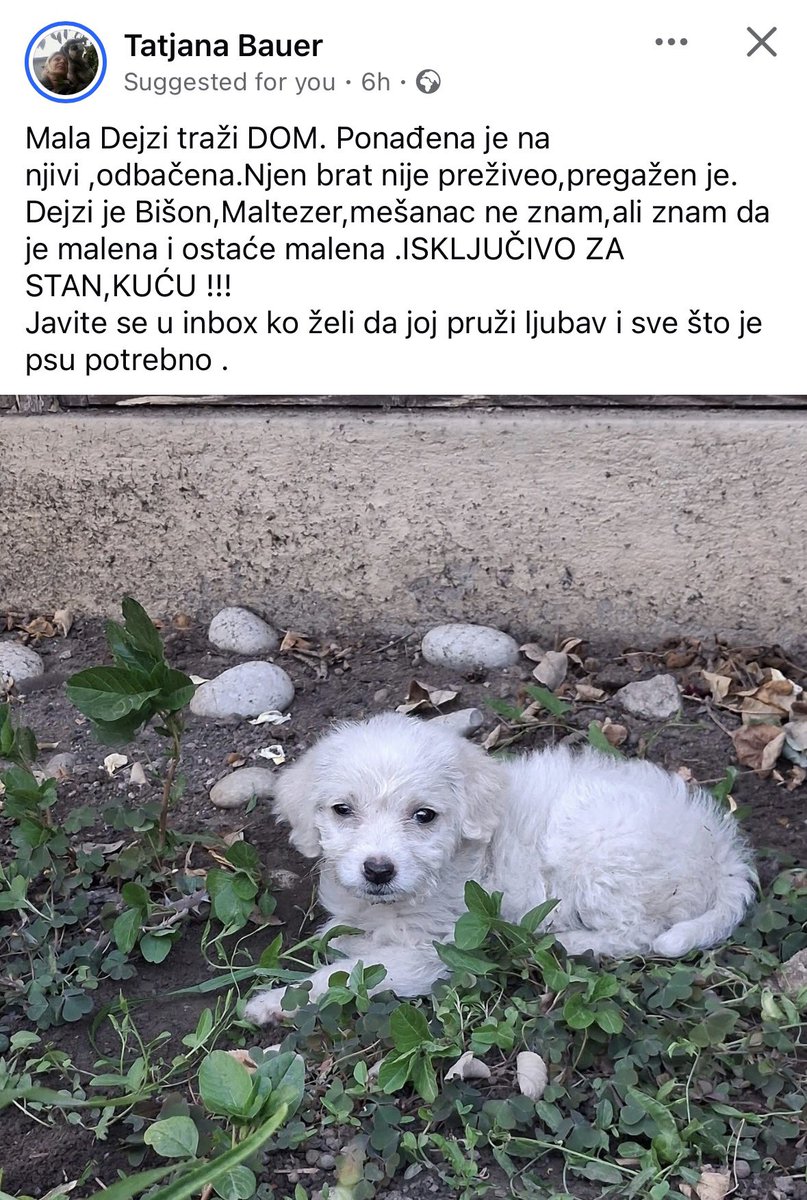 izvesnavesna's tweet photo. Hoće neko? Rt rt rt https://t.co/l0oOENhuSV