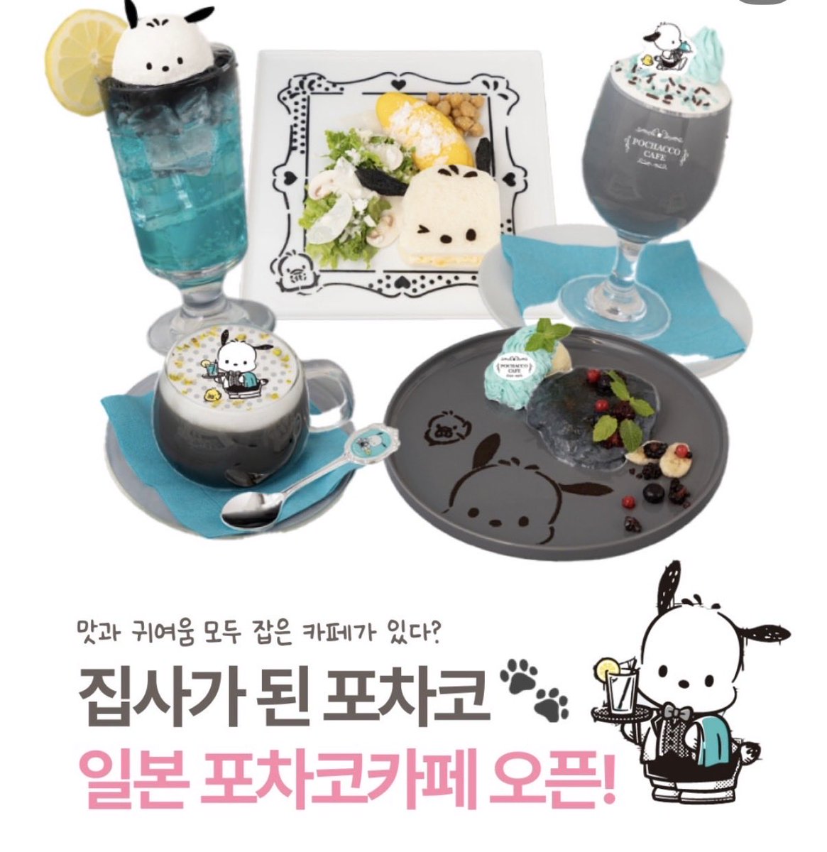 김댕 tweet media