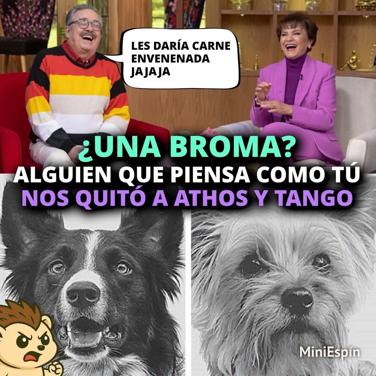 alejandra_llata's tweet photo. @Radio_Formula @Flor_Rubio @Flor_Rubio #noeshumor @tiopedritosola #pedrosolaesunpeligro #fuerapedrosola #fueraventaneando https://t.co/IF1PwH30wX