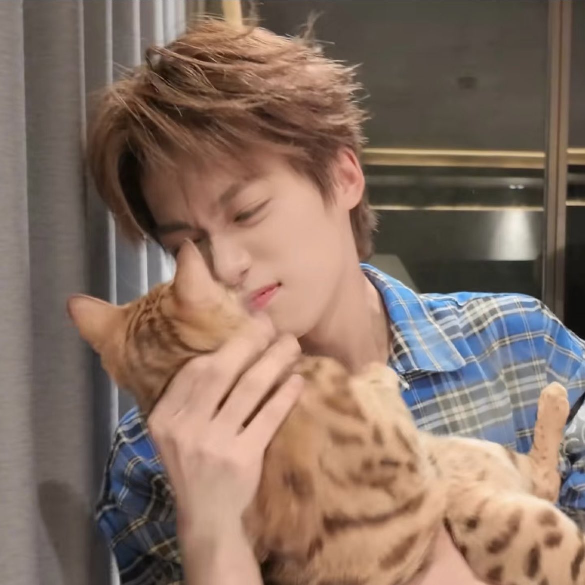 _Yellownjun_'s tweet photo. Fact😭😭

Gua liat vlog dia pas lagi ngurusin kucing2nya aja gemess sendiri.. 
kek busettt sabar batt diaa😭 https://t.co/9vnzNyeLNO
