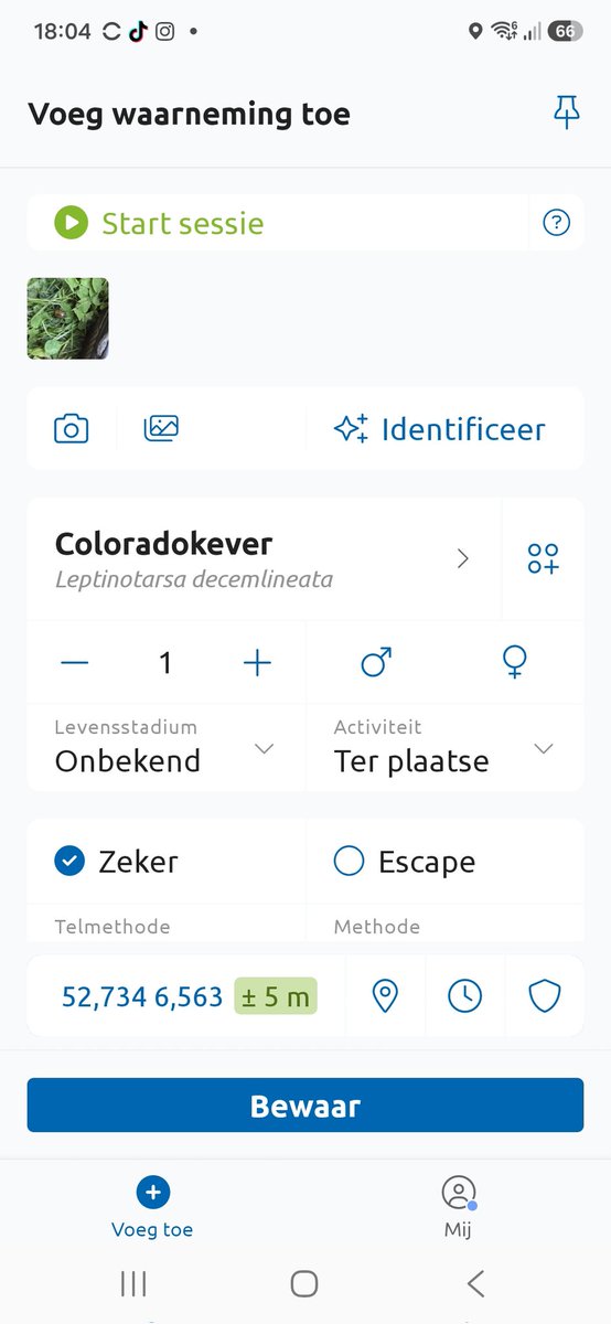 smit_evelien's tweet photo. Een nieuwe tuinbewoner, de #coloradokever

En nee, het zijn er geen paar maar helaas heel veel https://t.co/IVTWo8wYsu