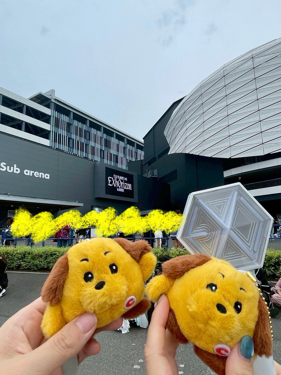 llp_guleum's tweet photo. いい夢が見れそうです♪🧑‍🌾
本日のお席はとても見やすかったので、なにも遮るものなくEXOちゃんを眺められて絶景でした✨
また元気に会いましょう！！ https://t.co/3P1y5A9WTb