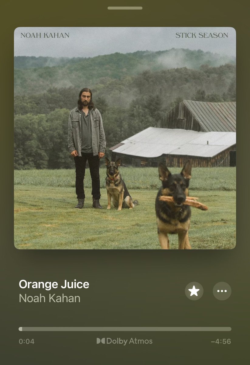 shesinaband's tweet photo. when the category is "perfect 10/10 songs about orange juice but the orange juice is actually a gut-wrenching metaphor" https://t.co/5a86xGkOkb