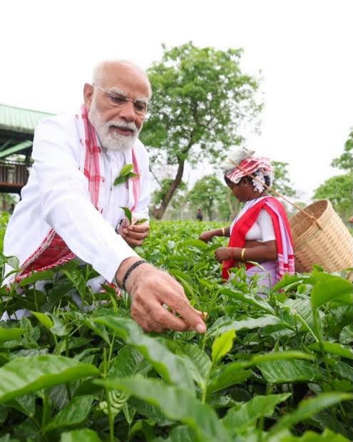 himantabiswa's tweet photo. Hon’ble Prime Minister Shri @narendramodi Ji continues to take Assam’s heritage to the global stage by weaving it into India’s diplomatic outreach.

This time, he gifted Assam’s famed Manohari Gold Tea to the Hon’ble President of Indonesia.

Earlier this year, Adarniya Modi Ji spent a night at the very estate where this exceptional tea is produced and interacted with our Cha Shramiks.

Crafted from tender tea buds rather than leaves, it is celebrated for its exquisite flavour, rarity, making it one of the world’s finest teas and the pinnacle of Assam’s tea tradition.

Grateful. 🙏🏽
