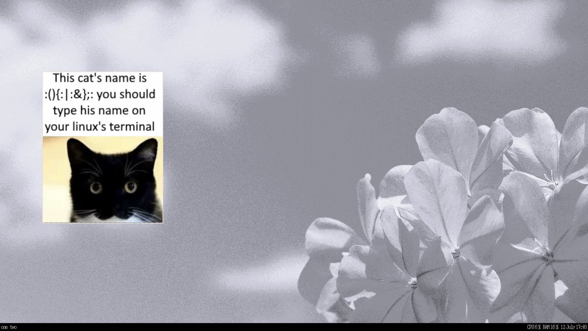chud mutt tweet media