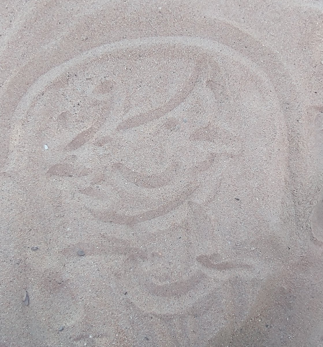 sebatinalina's tweet photo. the Beach https://t.co/TJjj3ayL7e