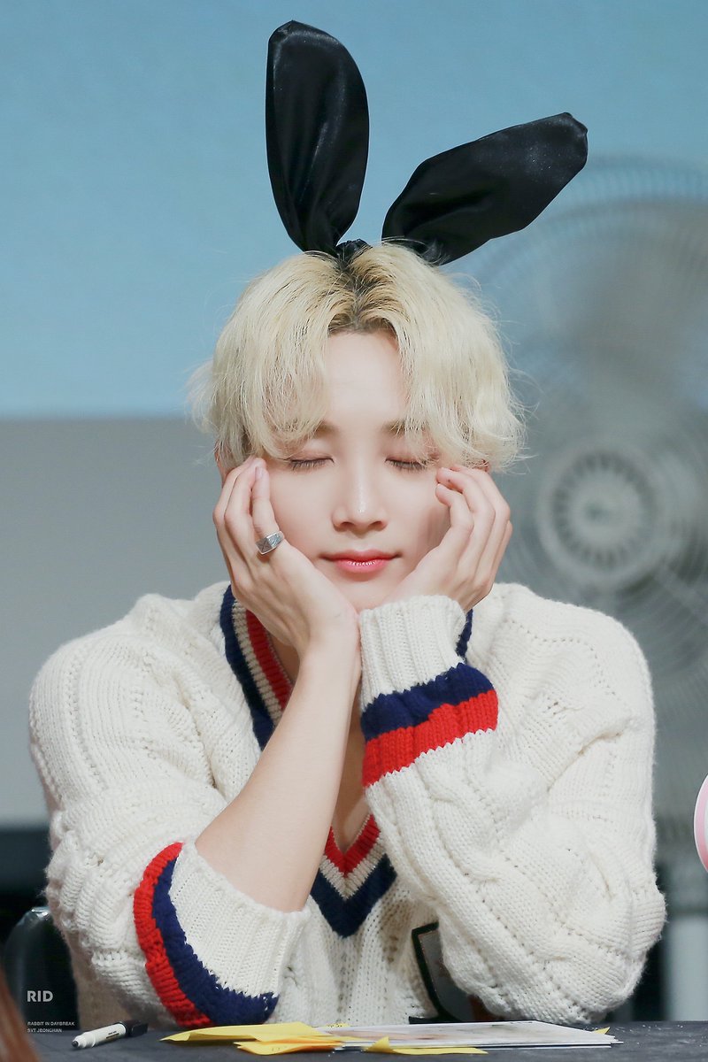 ch1yoo_n's tweet photo. 이 토끼를 본 적이 있나요 https://t.co/SDNTvNb8FF