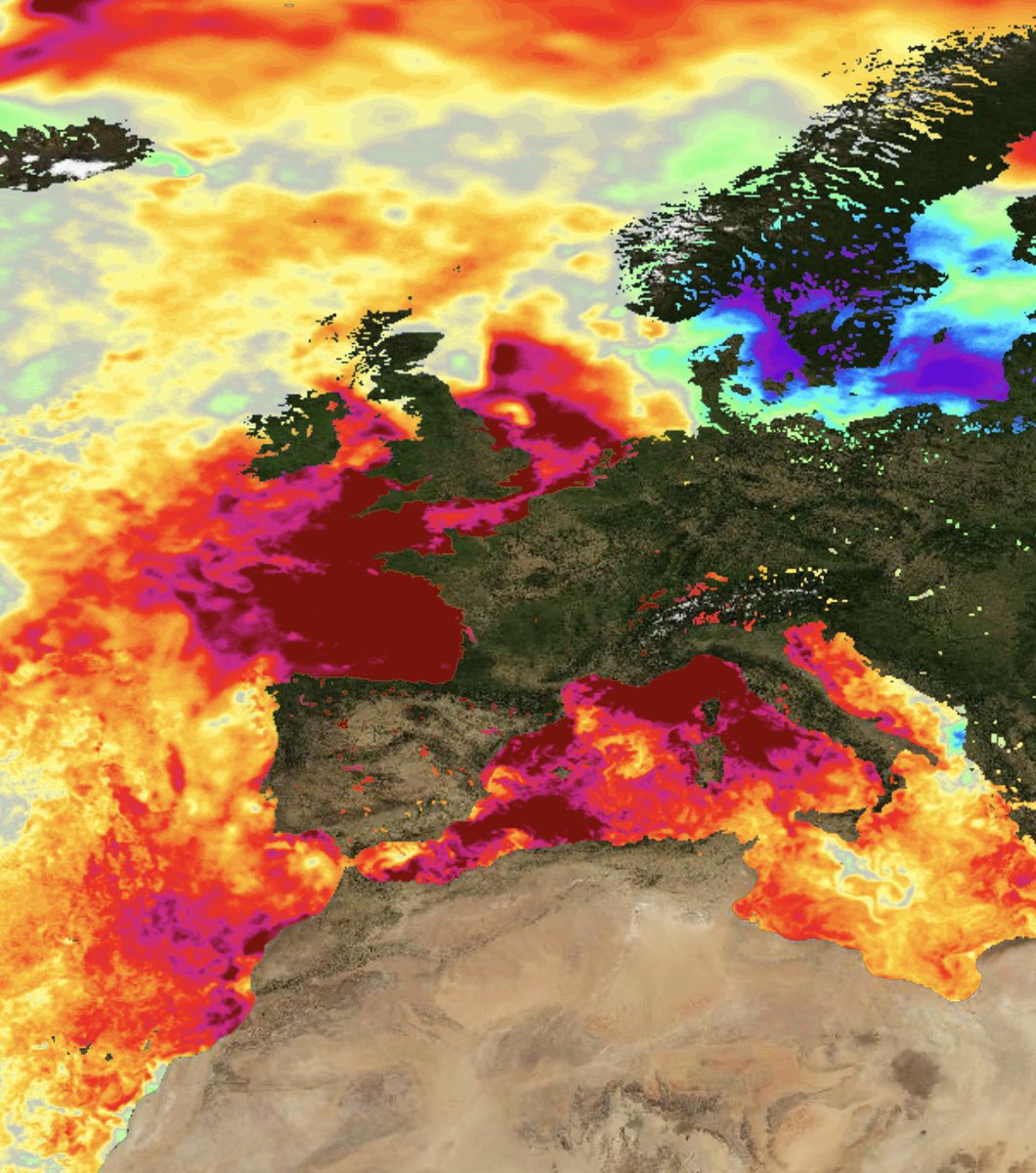 Met4CastUK's tweet photo. Sea Surface Temperatures around the UK and in the Mediterranean are some >5-6°C above where they should be for the time of year. 

A rather severe &amp; potentially catastrophic marine heatwave developing as a result of continued heatwaves. https://t.co/xZfZieDqP6