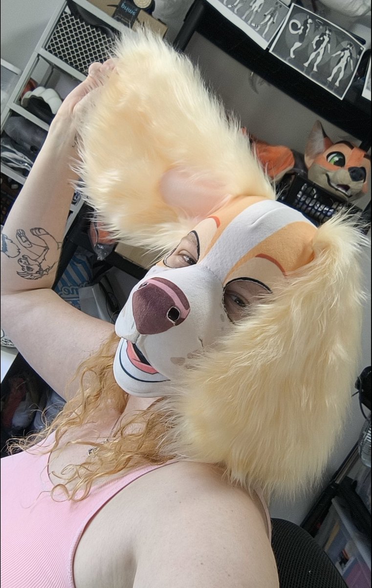 Irbis_Midnay's tweet photo. The first cocker spaniel.
#velvetslim #mask #furryart #furryㅤㅤㅤ https://t.co/6BflSvdqoF