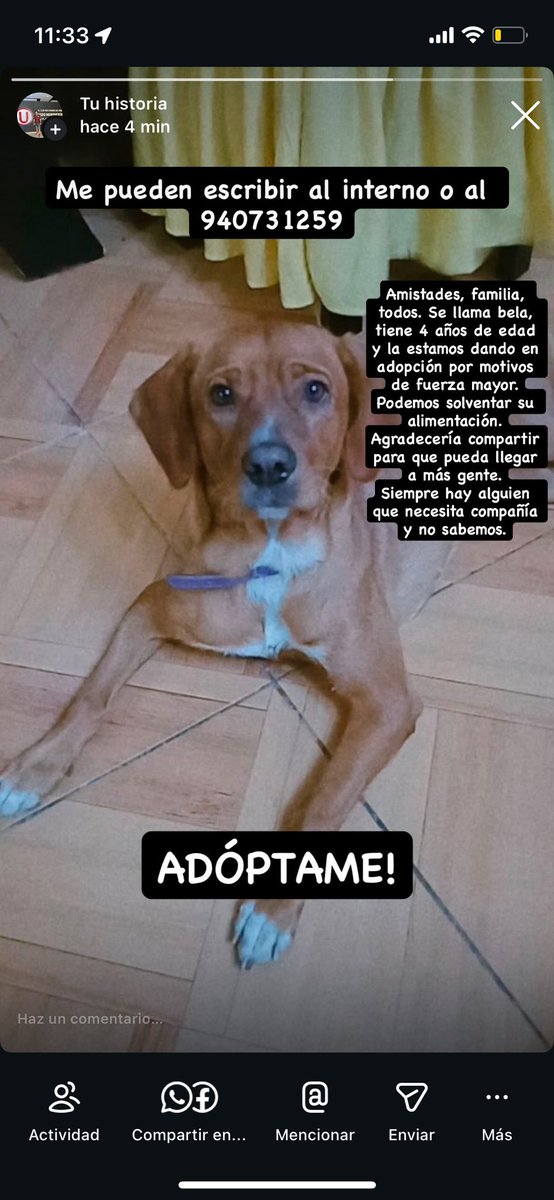 pedro_s1201's tweet photo. Agradecería compartir a todas amistades. 
#compañera #compañia https://t.co/H5pJwUxeog