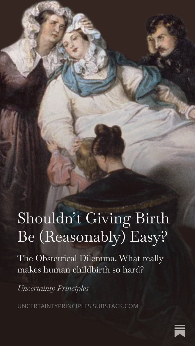 garytaubes's tweet photo. Does this make any sense to you? Evolution (or your deity of choice) goes through all that trouble to induce us to procreate and assure the survival of our genes and our species, and then it makes the actual act of giving birth so painful, prolonged, and dangerous that it can kill or disable both mother and child just for going through with it.

Now that a new study may have killed the conventional explanation of the Obstetrical Dilemma, maybe we should consider the unconventional. Dare we suggest diet matters?

Shouldn’t Giving Birth Be (Reasonably) Easy? https://t.co/wPCKHmmLap