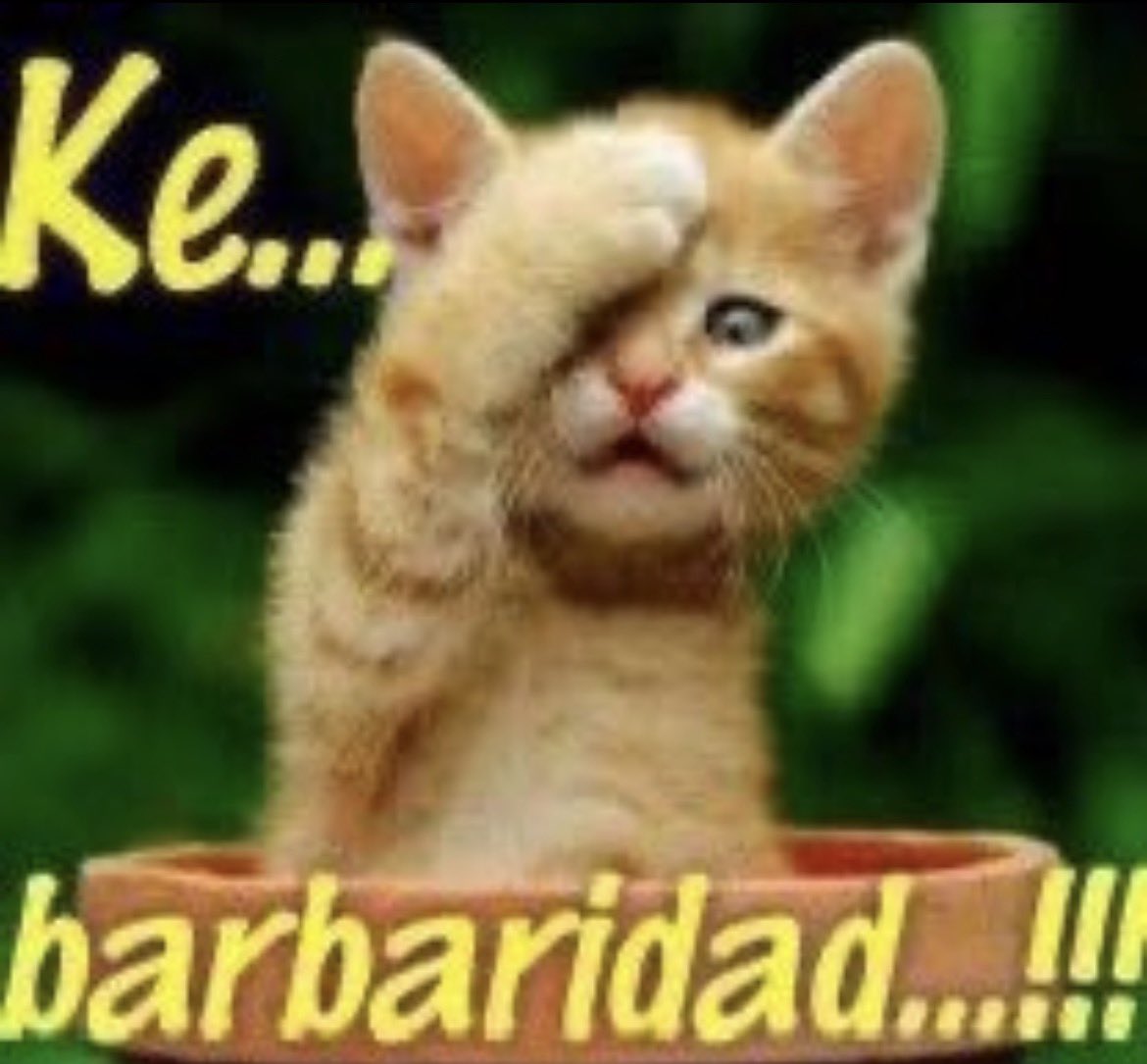 scrobbllando's tweet photo. @espantapiroca @esquizocronico https://t.co/HqNSIEckrc