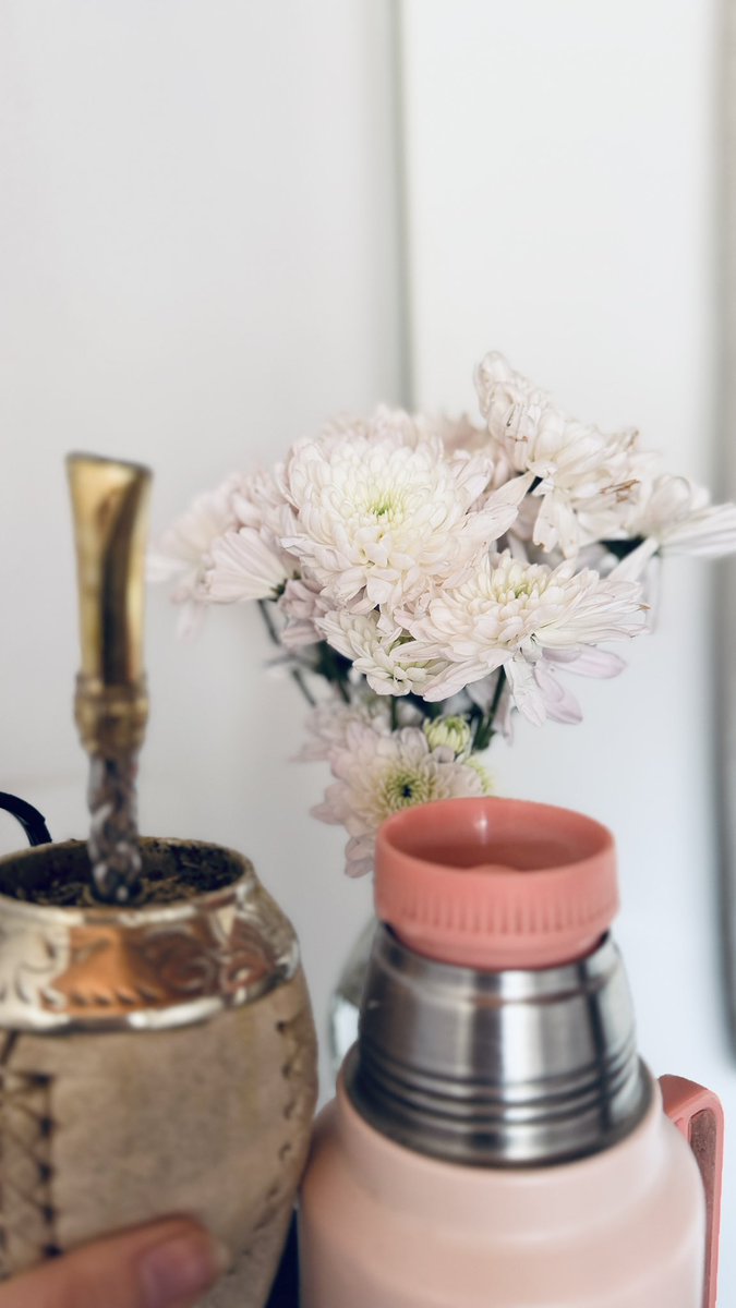 geralserra's tweet photo. Hoy me desperté y dije quiero unas flores 😍 https://t.co/oR01BjyQlL