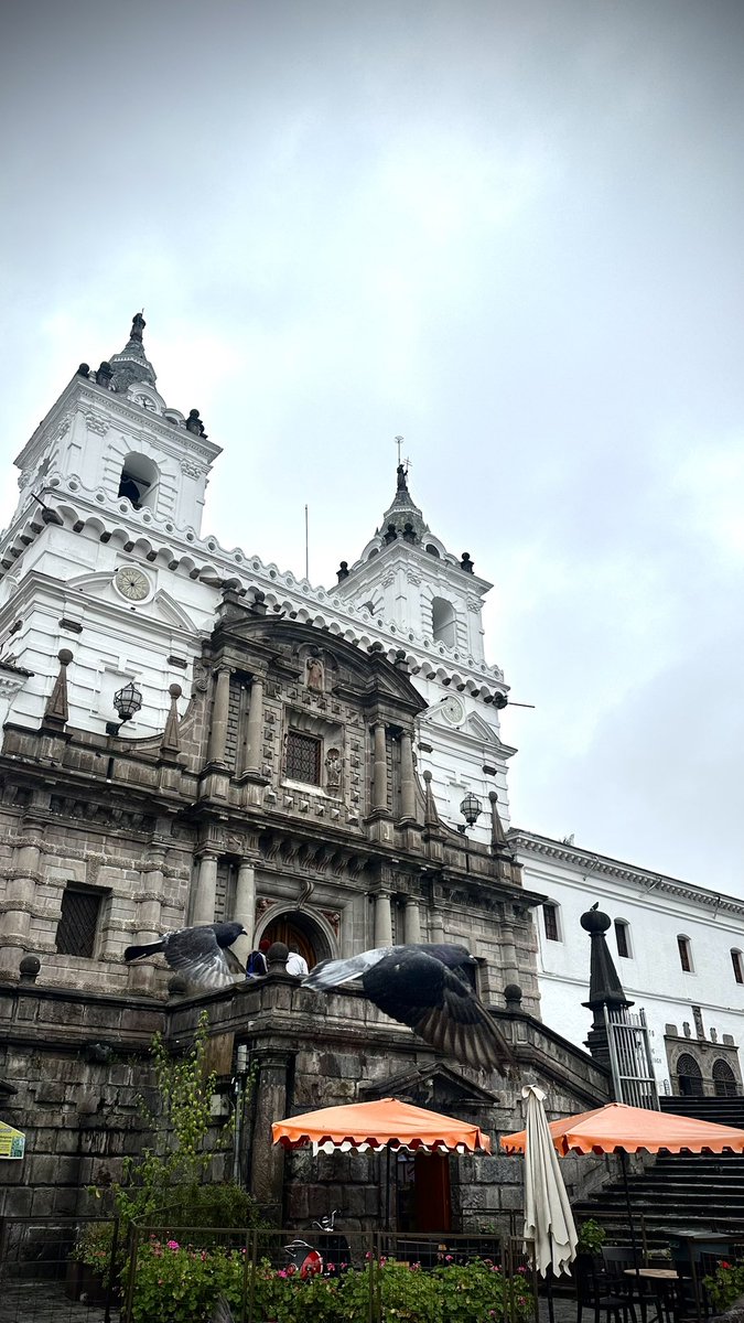 Cangriano's tweet photo. @Tougi_mahjong Saludos desde Ecuador, esta fotografía fue tomada en la ciudad de San Francisco de Quito 🎴💯 https://t.co/86LHVHB7wg