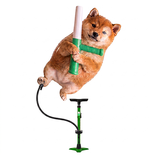 batonfun's tweet photo. pump fun https://t.co/Ri736ye78h