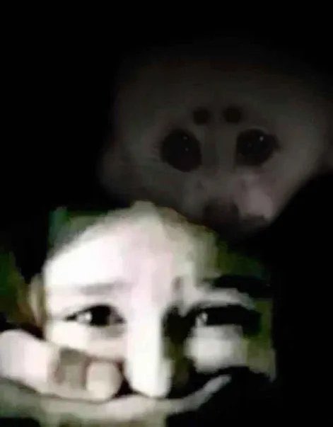 MoonpieStar9's tweet photo. @yamoriaa Uhhh... Yeah don't ask https://t.co/lNhK7m9OzH