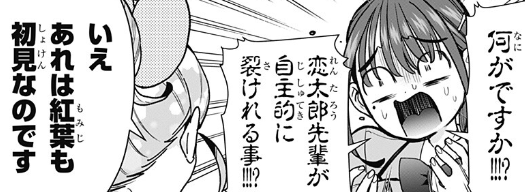Enju's tweet photo. あの状況で裂けるしかないということは恋太郎は分身の術とかそういうのを使わずに36人が満足するお付き合いをしているんですね

[第250話]君のことが大大大大大好きな100人の彼�� - 中村力斗/野澤ゆき子 | 少年ジャンプ＋ #ジャンププラス #100カノ
[ https://t.co/vAWK8wHxUC ] https://t.co/qBMHFrcx7b