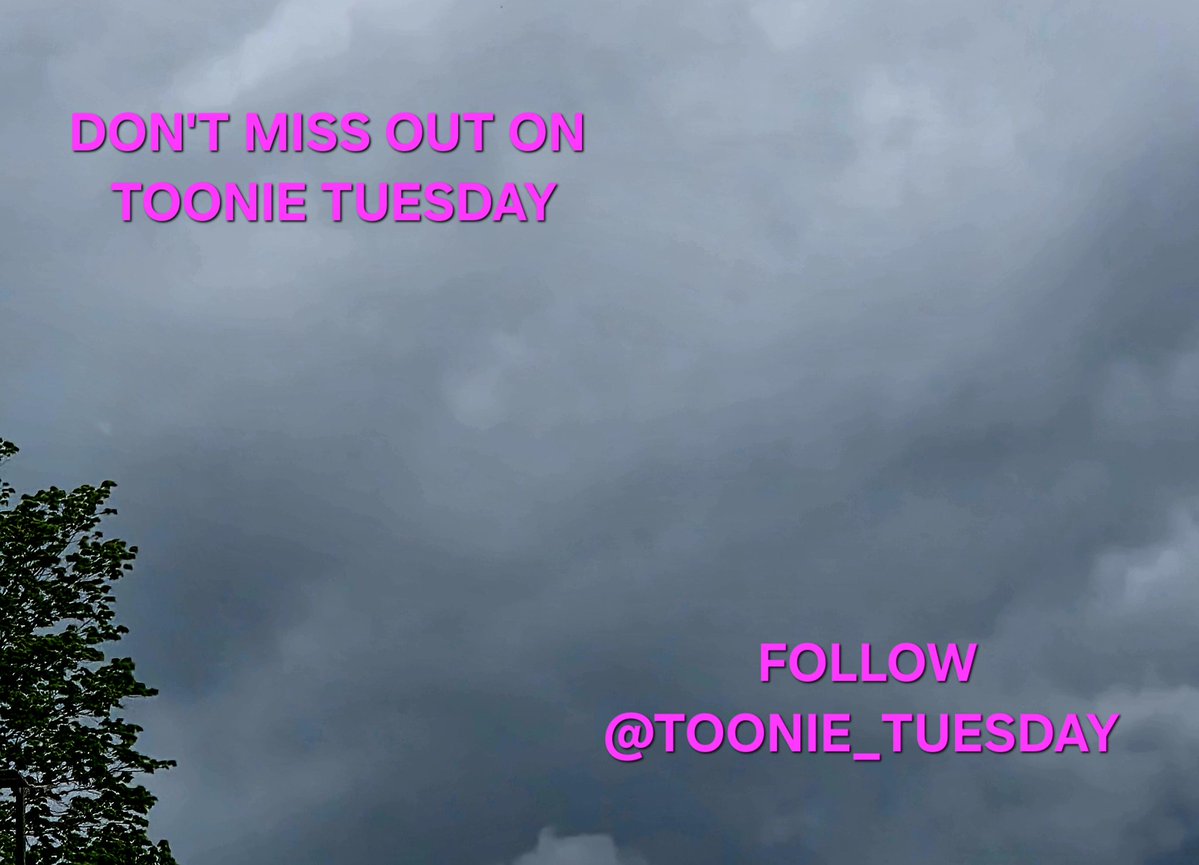 moxiepassion's tweet photo. @toonie_tuesday @CanadianKobzar @FellaSam79 @20gimsack @Cydsinc @JolokiaTheSpicy @HaraldThorvald1 @fukugime A storm is brewing for this week's Toonie Tuesday! https://t.co/Ht7KsJdSlq
