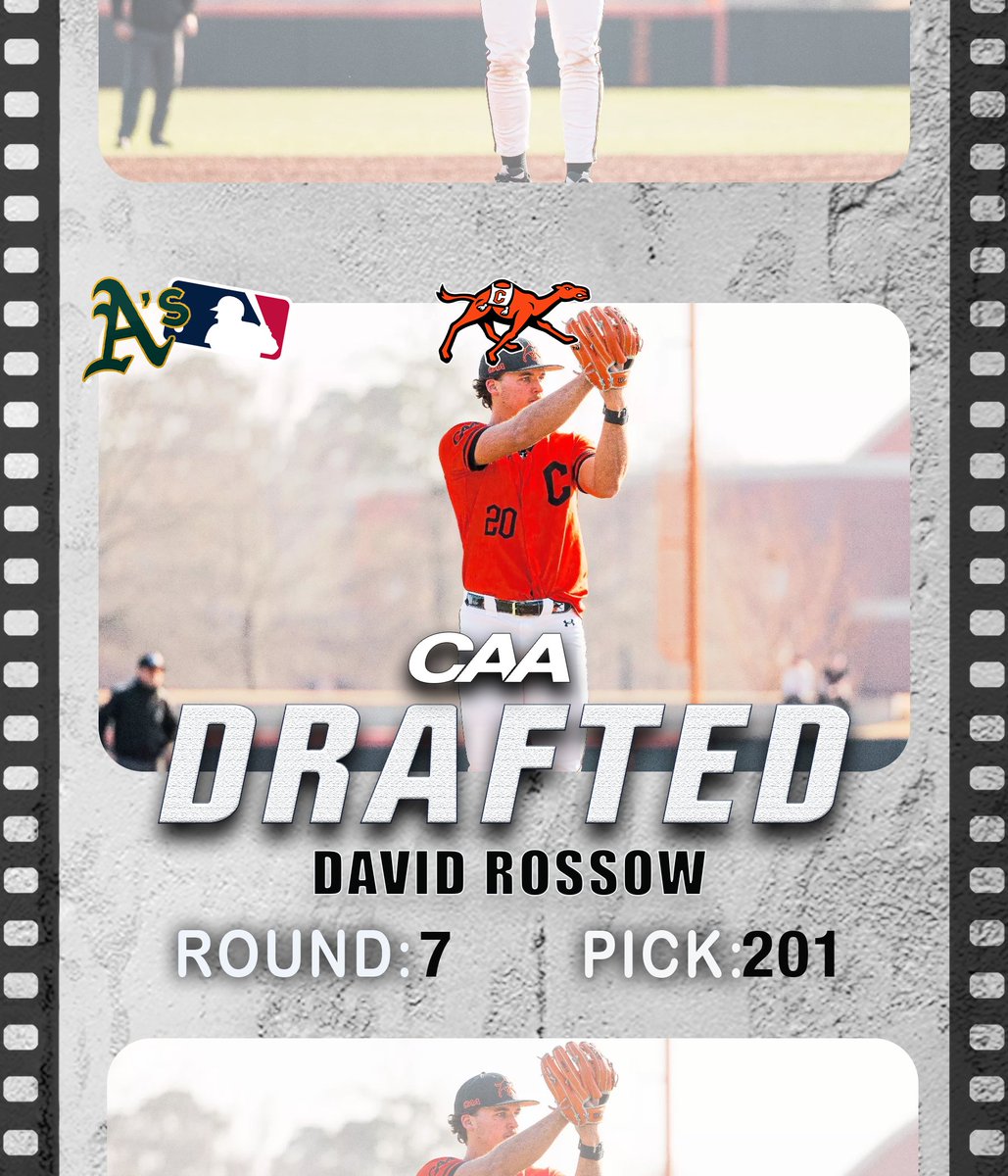 CAASports's tweet photo. 📩 With the 201st  pick in the@MLBDraft, the @Athletics select ......@GoCamelsBSB's David Rossow

#CAABaseball https://t.co/5XpaOA3qIa