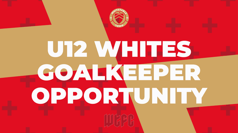 whitstabletown's tweet photo. Goalkeeper Wanted U12 Whites #Pitchero
https://t.co/TjdTtdVDj1 https://t.co/9jjk0A23eJ