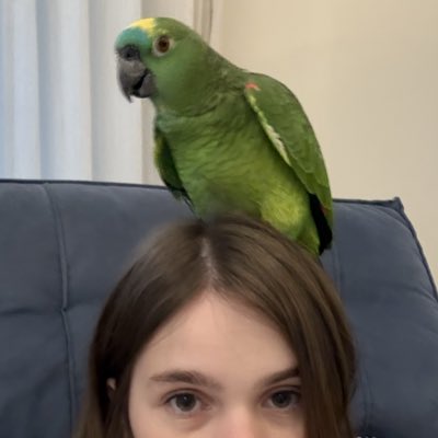doracantieri's tweet photo. #NovaFotoDePerfil https://t.co/OupGWOzZtO