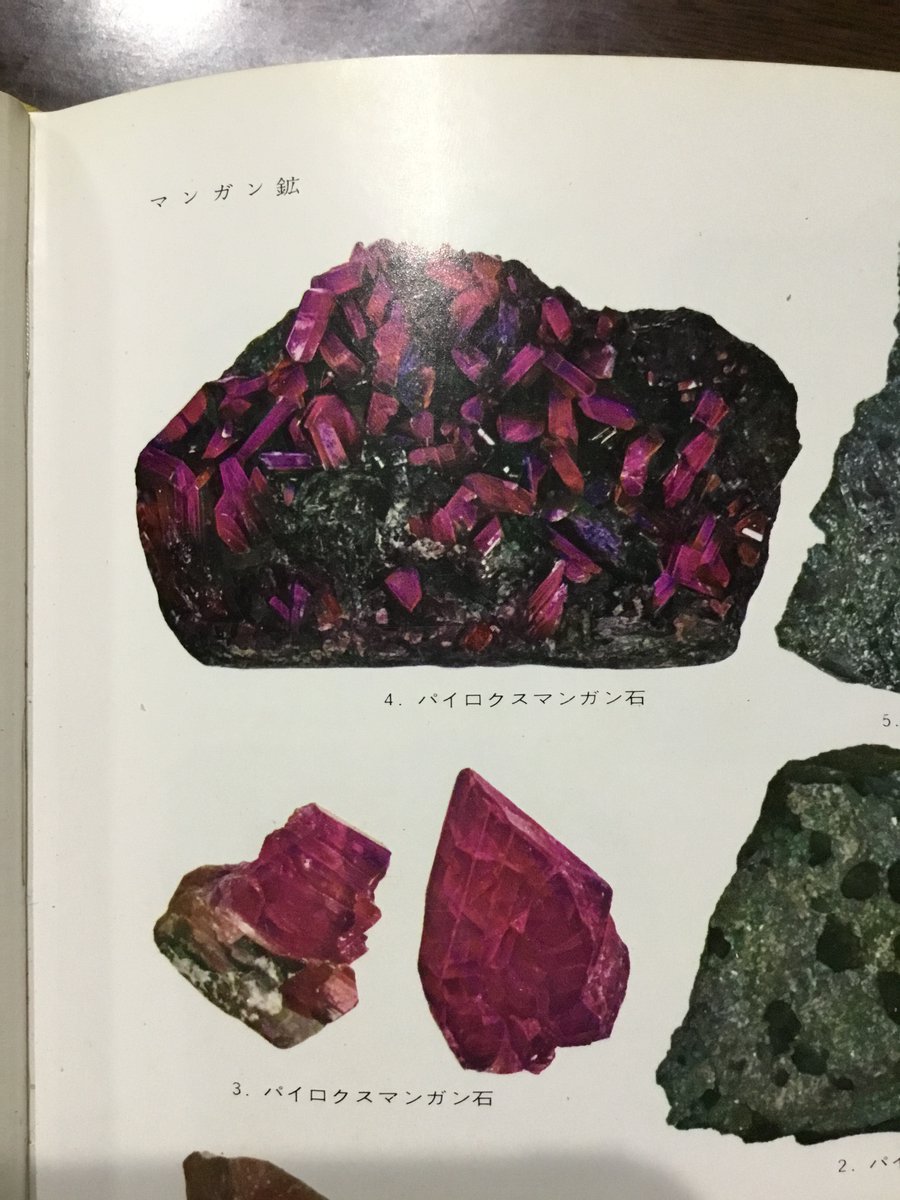 fluor_doublet's tweet photo. いくらなんでもこの色はおかしいよ https://t.co/PCjj0dvNFQ