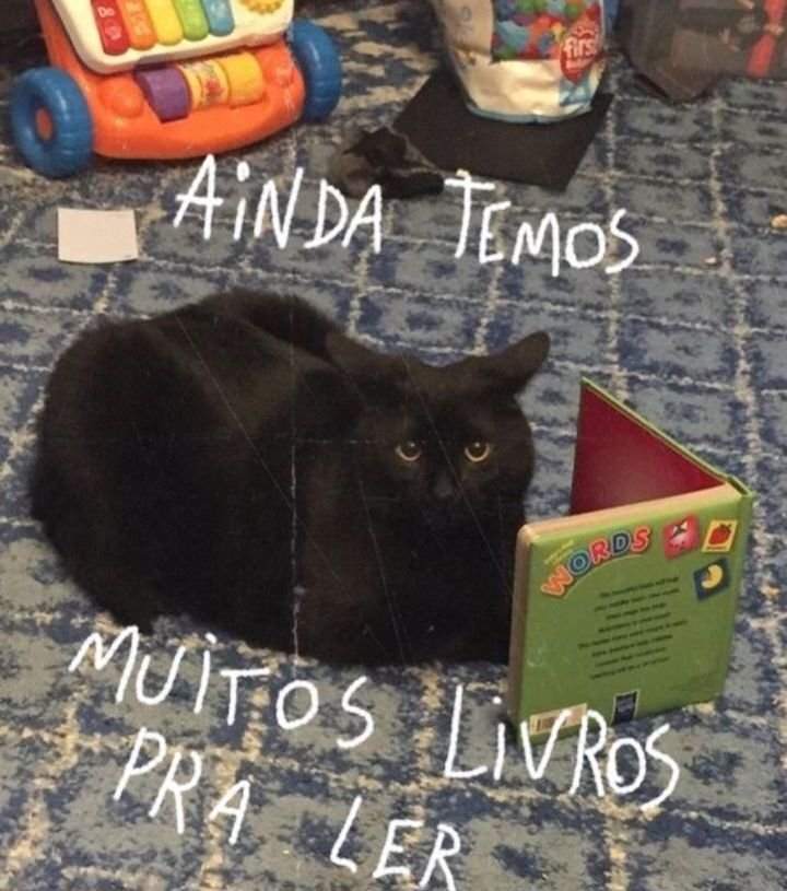 Soulivros100's tweet photo. https://t.co/0IVJZ42sIn