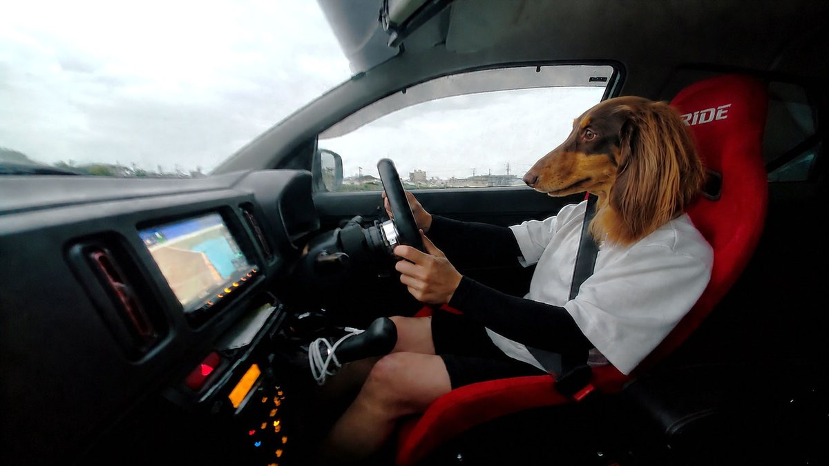 NAB8ram's tweet photo. u・ェ・u　おはワン🐾

免許の更新に行かねば🐾　優良運転者～ https://t.co/37aM8F2XfP