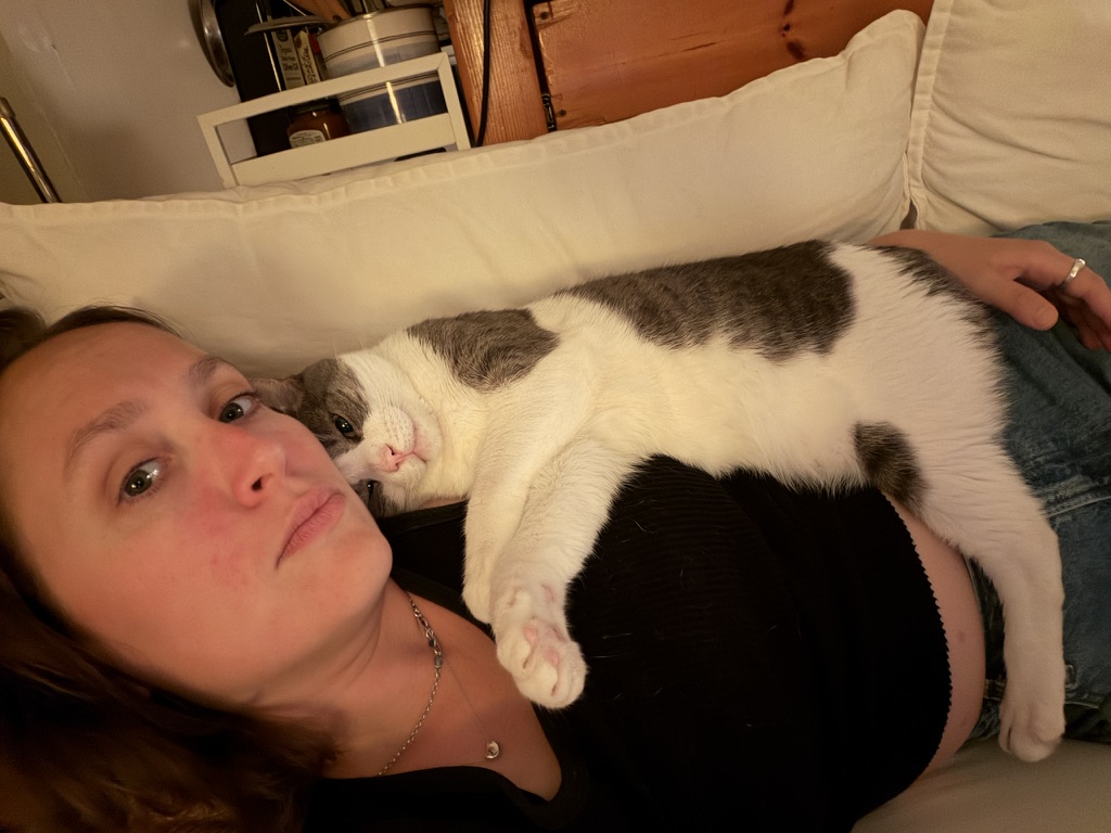 ray__wise's tweet photo. I dream of my cat’s stinky breath

https://t.co/ZEbgly0glq https://t.co/ow52ScNLIO
