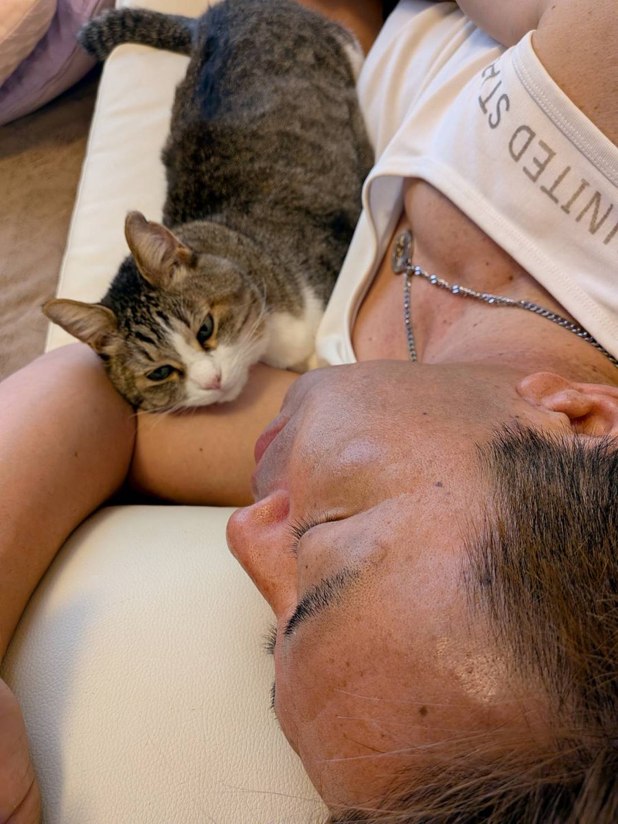 50testarossa's tweet photo. ソファーで寝る
次男のはっちゃん🐱が添い寝 https://t.co/kCYqPndyoq