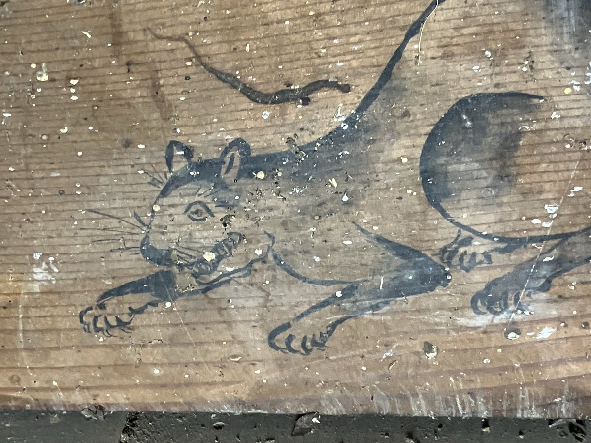 nekotaro1601's tweet photo. 祭壇の脇、壁板の隙間に落ち込んだ絵馬を見落とすところだった。頭を低くした猫が描かれていた。鼠を威嚇しているようだ。頭上にトンボに似た虫も2匹描いてある。この組み合わせは、初めて見た。年号は無く、幕末から明治ころか？。 https://t.co/n1NrRhw6GV
