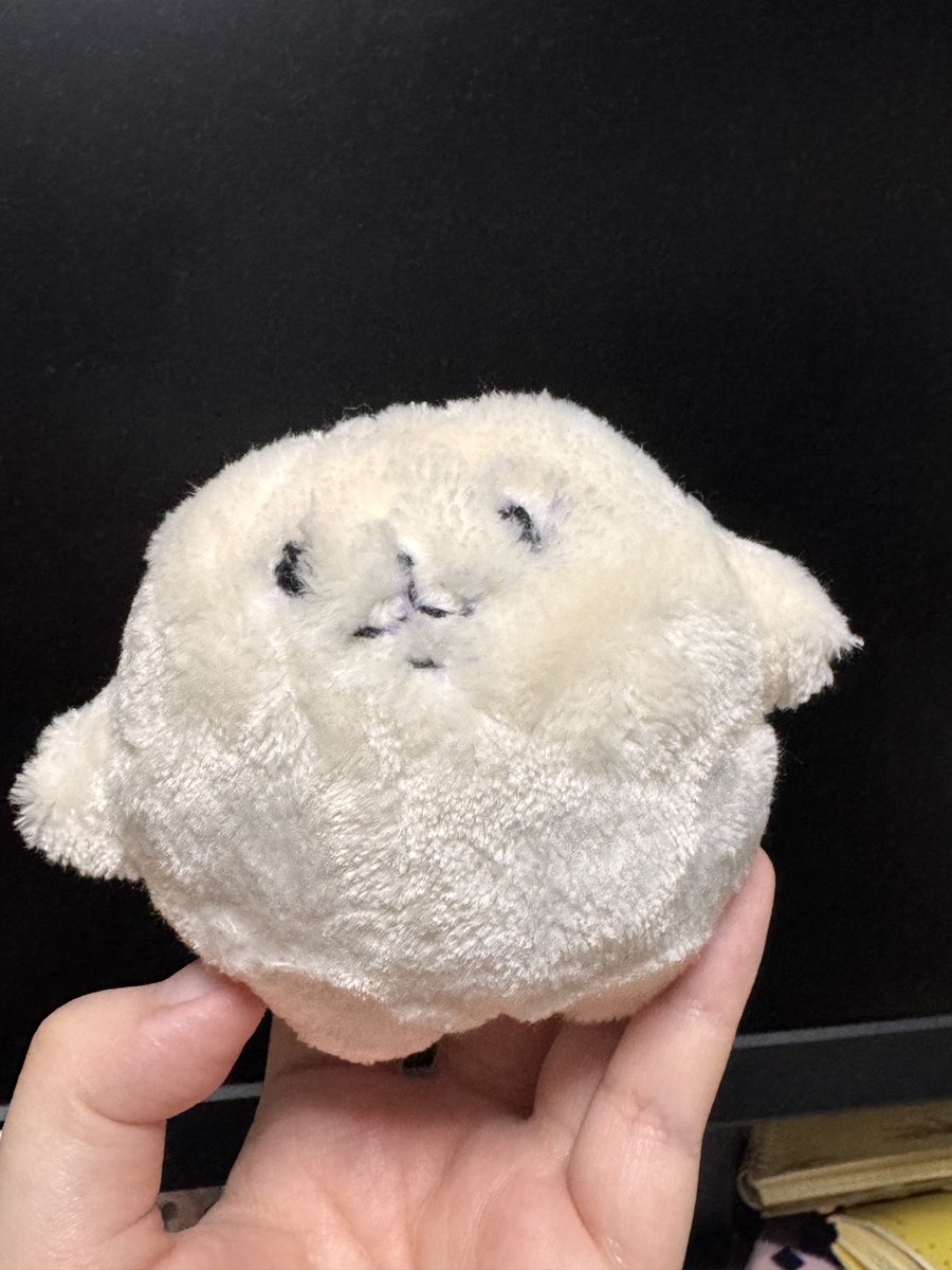 space_cowboy815's tweet photo. なんか足りない https://t.co/JoXLdLYwVi