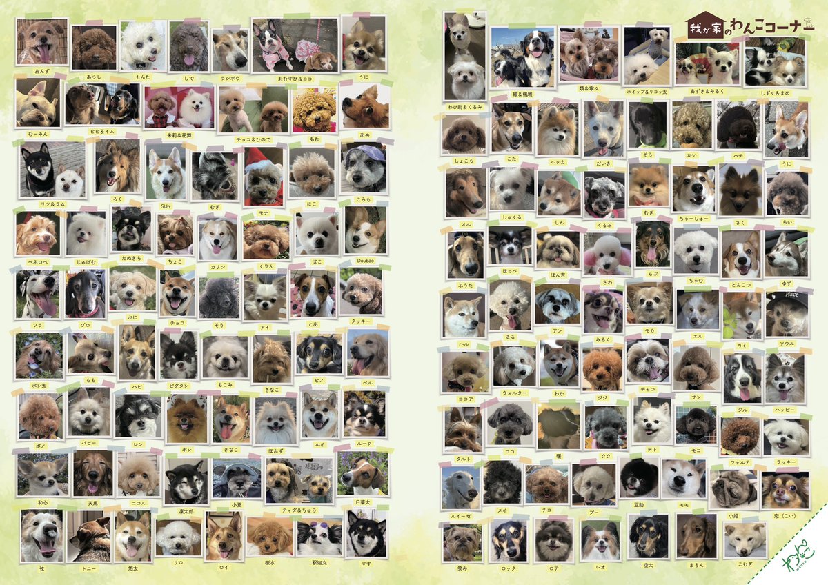 gekkan_wanko's tweet photo. 【当選者発表】
こちらの写真は月刊わんこvol.32『我が家のわんこコーナー』に掲載されています🐶㊗️🎊掲載されていたらリポストのご協力をお願いします👏

Amazon販売もスタートしました！🐶📚✨
▶︎通常版→ https://t.co/F5tgd9YfMS
▶︎Special Edition→https://t.co/bq0eug1h6I
※通常版とSpecial Editionは、表紙以外の掲載内容は同じです

当選発表は画像をご確認ください📖

@gingin_mk
@a9_zbg
@bianka_1220
@BVoqKknyVol1WuW
@gm_shigeko
@ofton_suya
@eco_mugi15
@vw3484
@Reo_Koi_2021_11
@toshibou_0108
@sag_yr