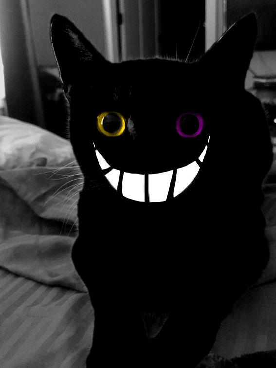 ApplelishApple's tweet photo. THIS IS NOT CUTE!!!!!!! cats only turn this color when they're about to go hunt for protein https://t.co/v8Q5mkcTmg