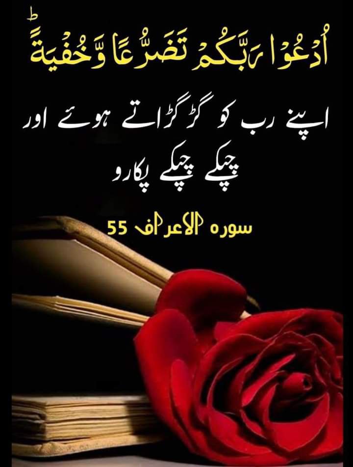 chugiadnancck's tweet photo. السلام علیکم دوستو✌️
دن کا آغاز قرآن پاک کے ساتھ 💙❤️
ہمیشہ ہنستے مسکراتے رہیں 💐✨️🌹 https://t.co/4G8s7NTQvg