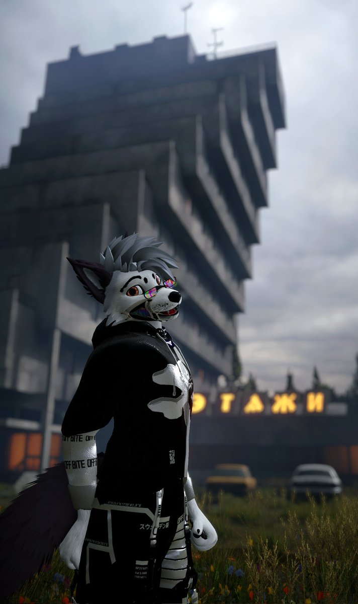 amabro200's tweet photo. Thanks for 800 followers beans and we're not stopping! Look how happy this canis boi is! All thanks to you! 🤍

See you tomorrow with my special canis bros edit with you guys! 🐺 https://t.co/lGl5xw4Ihk