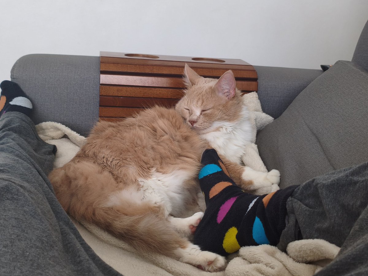 tommeowts tweet picture