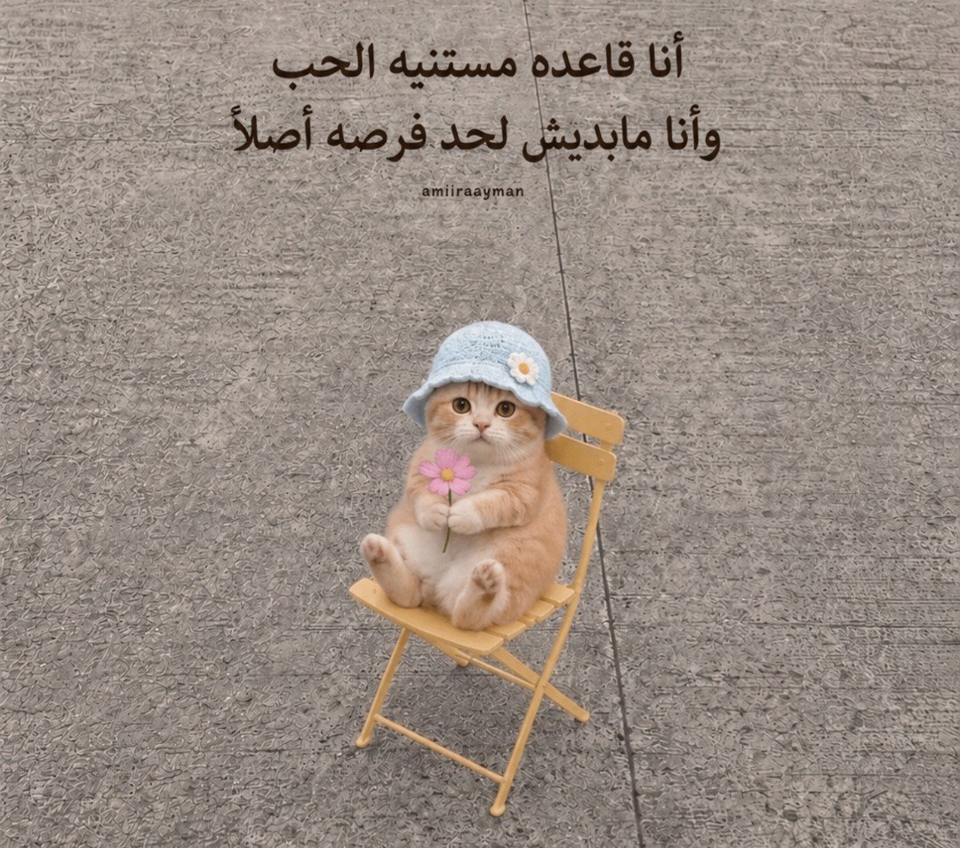 AmiiraAyman's tweet photo. https://t.co/epZ03kEPga