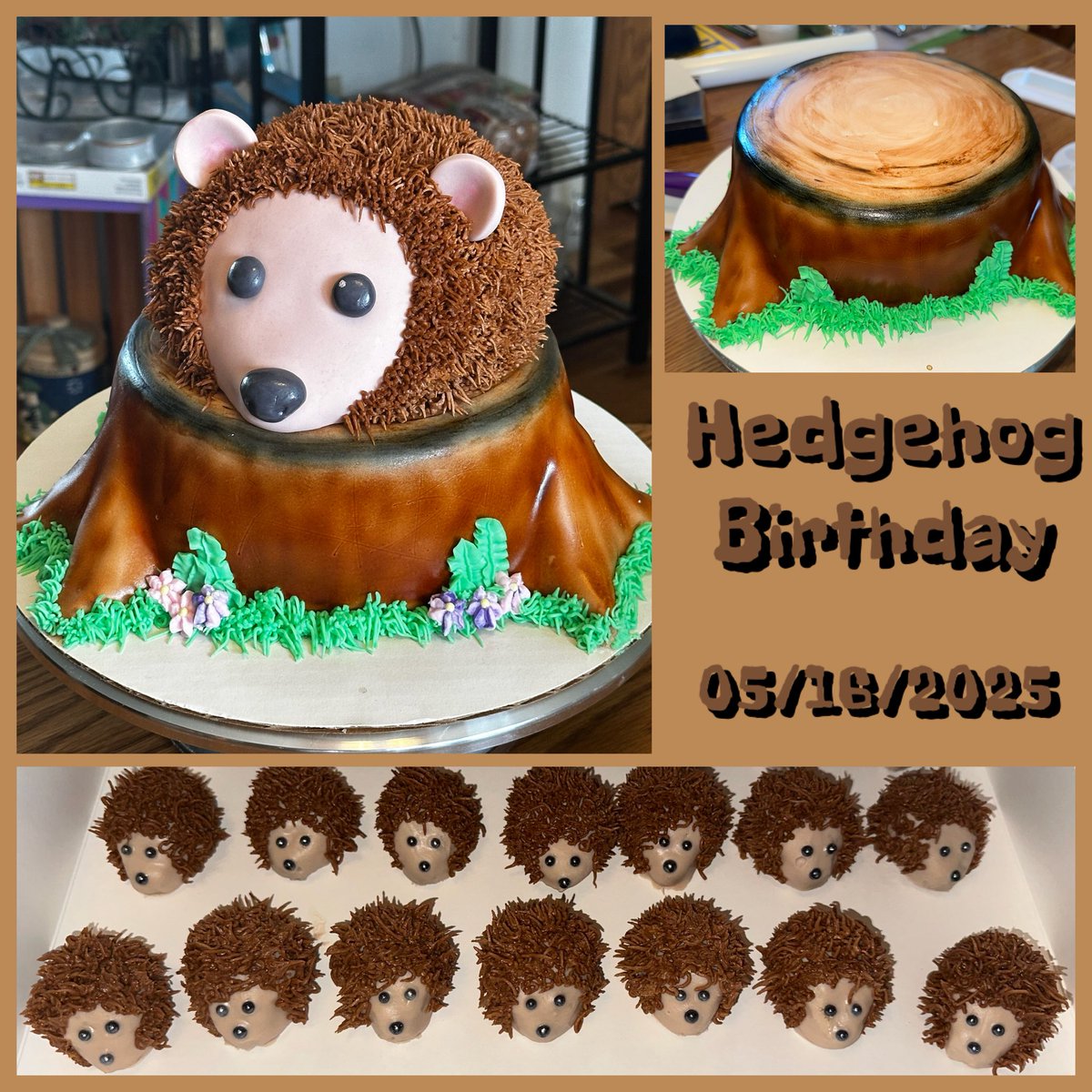 gatch1998's tweet photo. Hedgehog Birthday cake &amp; cake pops.  Cake:  stump - pistachio, hedgehog - salted caramel chocolate w/fondant &amp; frosting decoration.  Cake pops 1/2 pistachio &amp; 1/2 salted caramel chocolate w/white chocolate, frosting &amp; bead decoration.  05/19/2025 https://t.co/d54nNR3yQV